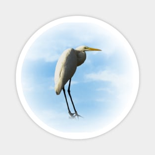 Egret Magnet